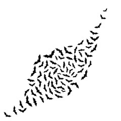Obraz premium Vector art of a dynamic swarm of bats in flight, creating a striking and eerie pattern for halloween themed designs