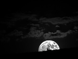 Full moon rising over dark landscape silhouette night
