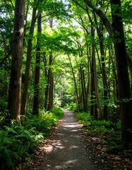 Lush forest path (1)