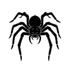Spooky Crawling Spiders Silhouette Vector Illustration