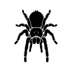 Halloween Creepy Spiders Silhouette Vector Illustration