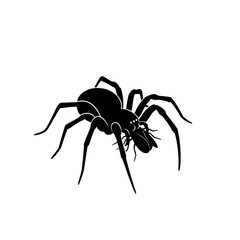 Scary Crawling Spiders Silhouette Vector Illustration