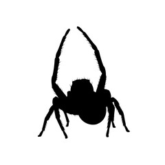 Terrifying Haunted Spiders Silhouette Vector Illustration