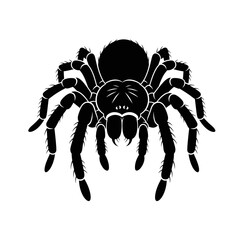 Spooky Dark Web Spiders Silhouette Vector Illustration