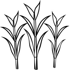 vector illustration of a plant