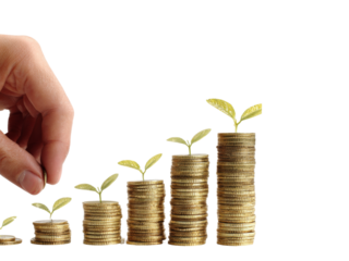 Growing money financial investment savings growth concept, Isolated On white, Png Transparent