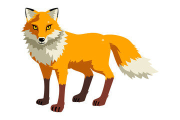 狐　全身