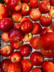 Fresh red apples displayed at market stall