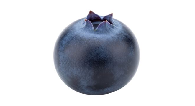 Isolated Blueberry Close-Up Still Life, Fruit Detail, Vitamin C, Anthocyanins, Sweet Summer Berry
