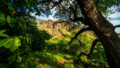 Obraz premium Lush tropical mountain