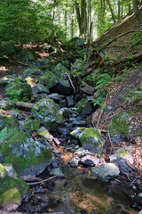 Rocky waterfall flowing in dense green forest; scenic nature landscape with cascading low flowing...