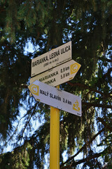 Street sign in village of Marianka, Slovakia at edge of Little Carpathians showing directions to local trails and landmarks; hiking path marker with trees in background