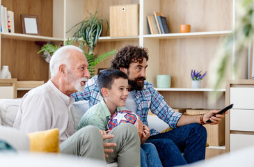 Male family members enjoying watching soccer game in living room