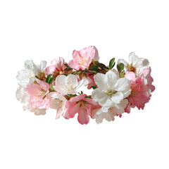 Delicate cluster of pink and white blossoms.  