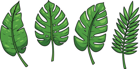 various types of tropical leaves illustrated in green