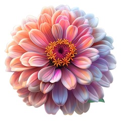 Fototapeta premium Pink zinnia flower drawing high resolution picture