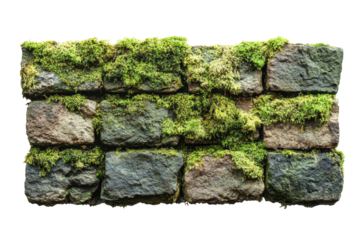 Stone block wall covered in bright green moss, isolated on white background for easy use