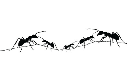 Silhouettes of a colony of ants working together and communicating on a thin wire against a stark white background