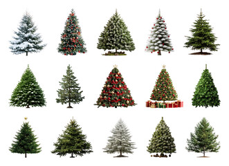 Fototapeta premium PNG Diverse festive Christmas trees collection, element set on transparent background