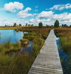 Wooden walkways through the moorland in the High Fens nature reserve