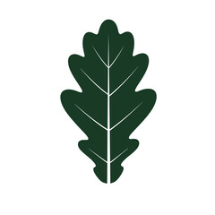 Elegant Dark Green Oak Leaf Vector Graphic with Detailed Veins on White Background