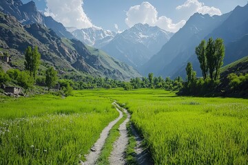 Obraz premium Serene mountain valley path through green field