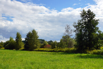 Schöne Sommerlandschaft. Wiese, Bäume, und blauer bewölkter Himmel