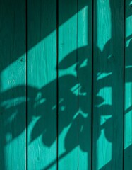 Teal wooden wall with plant shadows