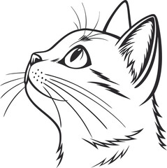A cute, cartoon vector illustration of a black and white cat, sitting