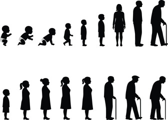 Human life stages silhouette, baby to elderly, male and female aging process, growth development, childhood adulthood senior, family generation cycle