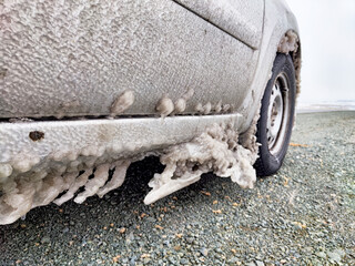 Snowfall and ice accumulation on vehicle during a cold snap in a remote winter landscape in late...