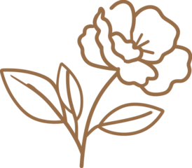 Detailed line drawing of a stylized flower