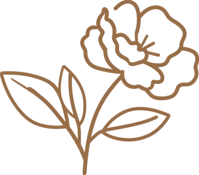 Detailed line drawing of a stylized flower