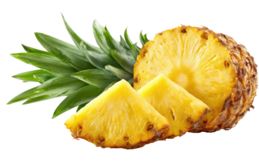 Fresh pineapple slices with leaves (1)