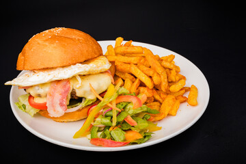 hamburger and fries