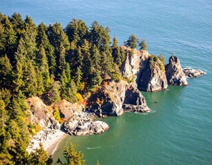 Coastal landscape with rocky formations and trees