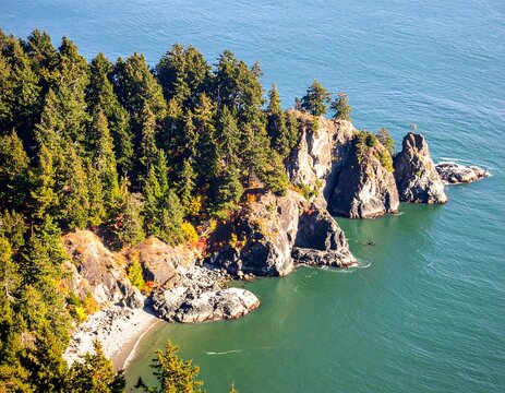 Coastal landscape with rocky formations and trees