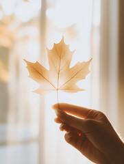Close-up of a beige maple leaf held by a hand in soft natural light. Warm tones, shallow depth of field, dreamy autumn mood
