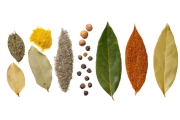 Herbal spice collection kitchen food photography rustic top view