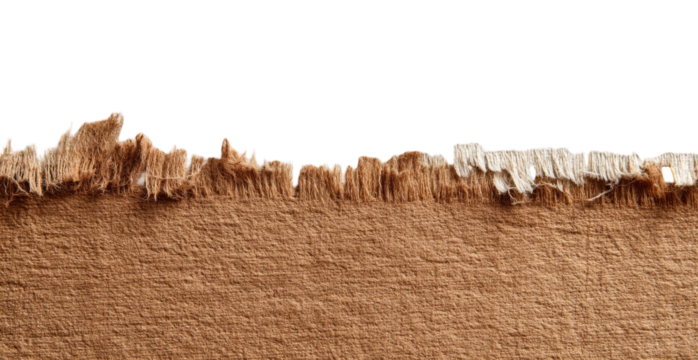 Torn fabric edge, tan and beige.  Fuzzy fibers along a ragged tear line