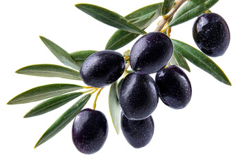 Black olives in a mediterranean grove nature food photography