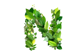 Bright nature-inspired alphabet design for creative art studio