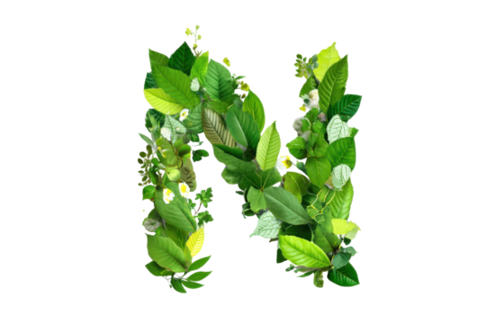 Bright nature-inspired alphabet design for creative art studio