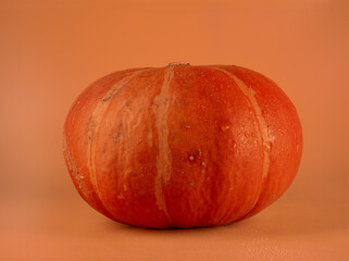 Vibrant Pumpkin on Orange Background Isolated