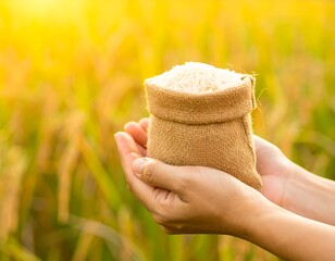 Hands holding a burlap sack of rice in a golden field