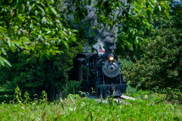 A historic steam train billows black smoke as it moves along a track surrounded by vibrant green...