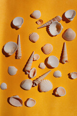 Collection of various seashells scattered on a vibrant yellow background