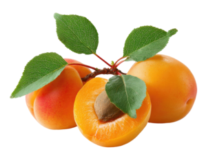Three ripe apricots, one halved, with leaves