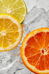 Citrus slices on ice. Citrus Background