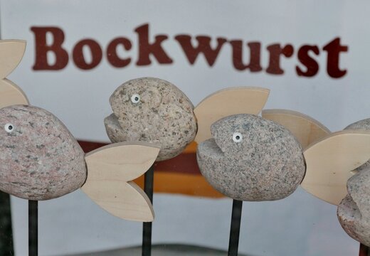 Erschrockene Steinfische fleihen vor Bockwurst